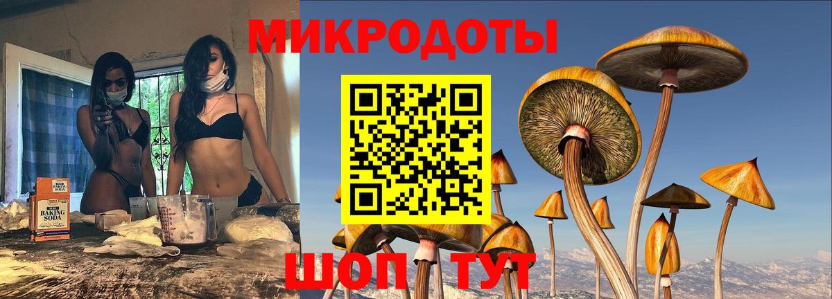 Псилоцибиновые грибы Psilocybine cubensis Луга