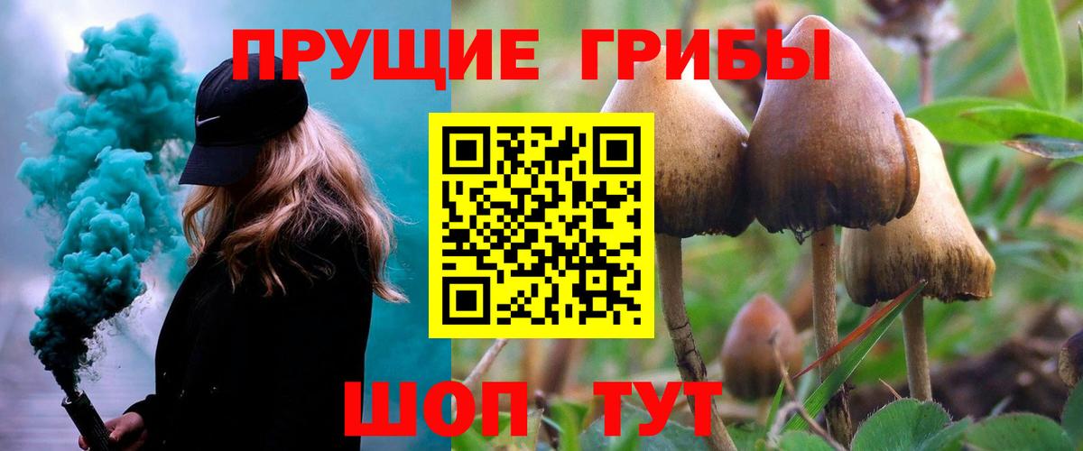 Галлюциногенные грибы прущие грибы  Галлюциногенные грибы GOLDEN TEACHER  Луга  Вход с VPN 